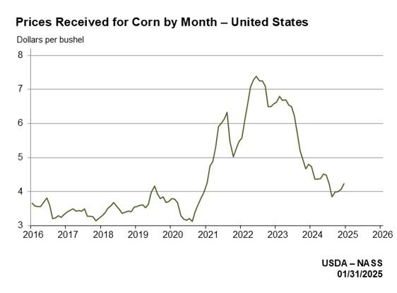 Tariffs corn graph.jpeg